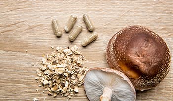 Mushroom Extract AHCC May Benefit Immune Health and More