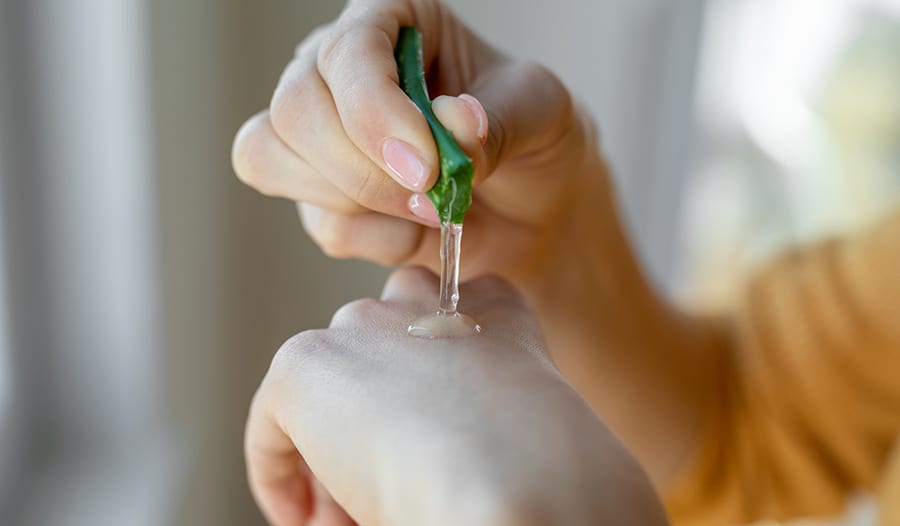 Beneficios del Aloe Vera: 7 Usos Increbles para la Salud + Piel | Centro  de bienestar