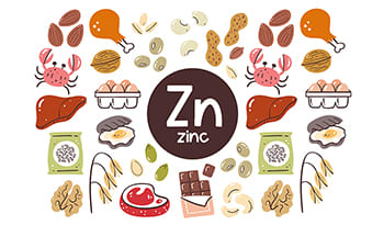 Les six meilleures sources alimentaires de zinc : comment booster votre apport