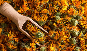 Seapoint Farms, Dry Roasted Edamame, Sea Salt, 4 oz (113 g)