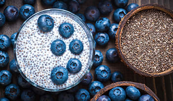 Chia seed pudding, blueberries, bowl of chia seeds