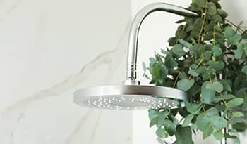 Eucalyptus plant hung on shower head in white marble shower