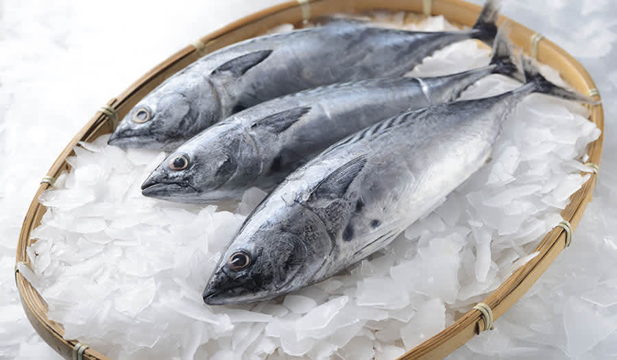 Fish Peptides and Cardiovascular Health - Blog
