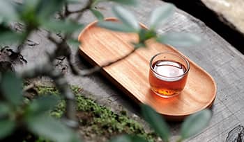 Fo Ti Chinese herbal tea in cup on wooden board with plants