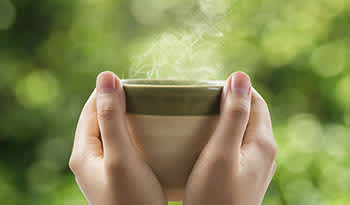 Fungiology Reishi Hot Tea-Rezept