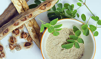 Get the Health Benefits of Moringa With These Three Recipes
