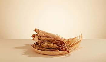 Ginseng root on plate with plain background