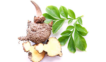 Glucomannan: Exploring Top 4 Health Benefits and Uses