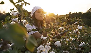 Young woman with bandanna in cotton field checking quality of plant