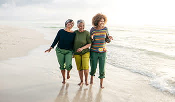 Seapoint Farms, Dry Roasted Edamame, Sea Salt, 4 oz (113 g)