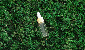 Sea Moss: What It Is, Health Benefits, and More