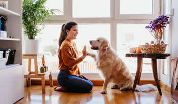 woman practicing self-care by playing with her dog