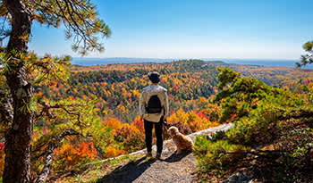 I migliori integratori per l'autunno e l'inverno: aumentano la salute durante i cambiamenti stagionali