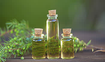 Переваги олії чайного дерева: природний засіб для чистої шкіри