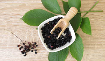 Manfaat Elderberry