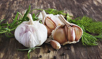 Sources of prebiotics: garlic on a wooden table