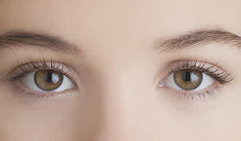 Полезные для ваших глаз питательные вещества