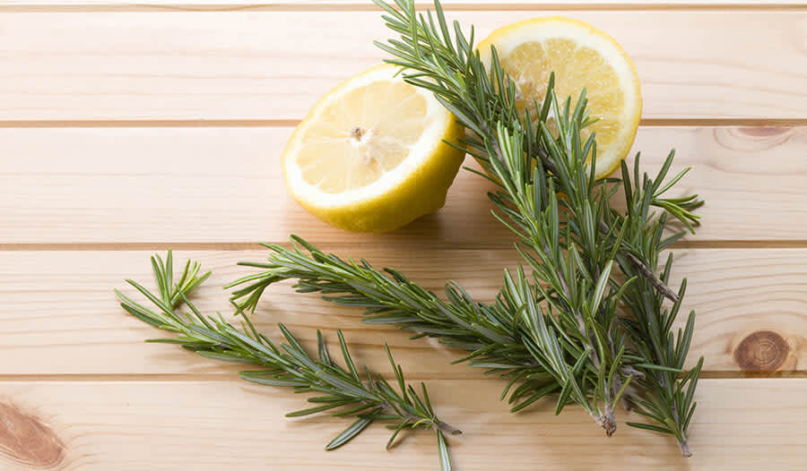 The Health Benefits of Rosemary｜ iHerb Blog