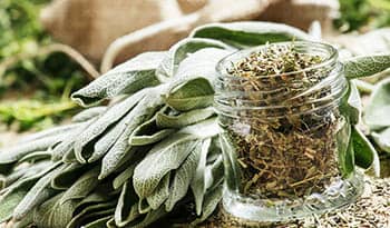 The Health Benefits of Sage and Burning Sage to Cleanse your Space