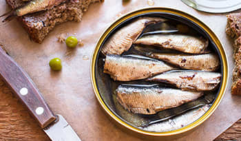 Canned sardines on table with bread