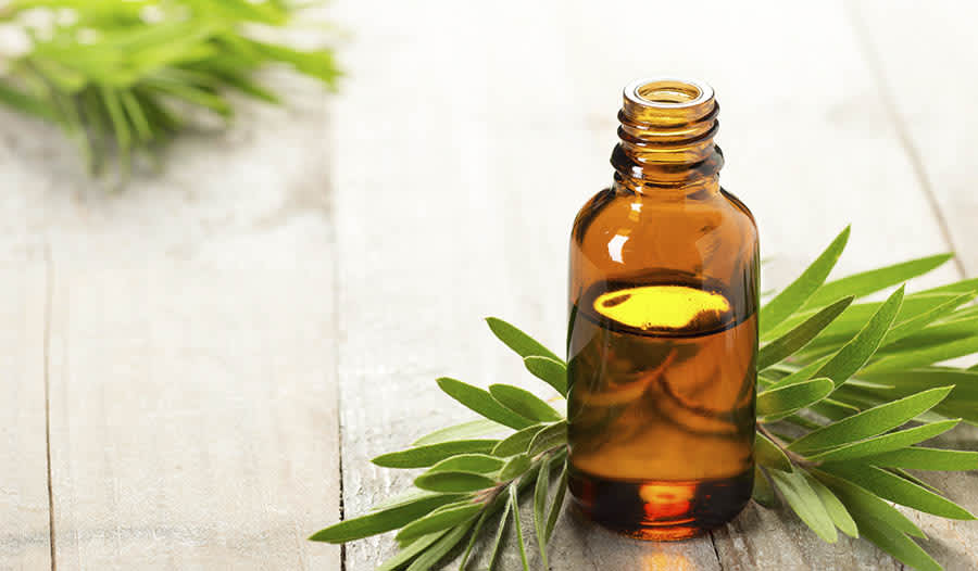 Top 13 Essential Oils and How They Can Benefit Your Health｜ iHerb Blog