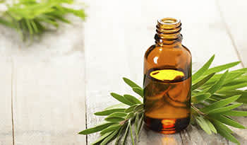Essential oil bottle on table with pine leaves