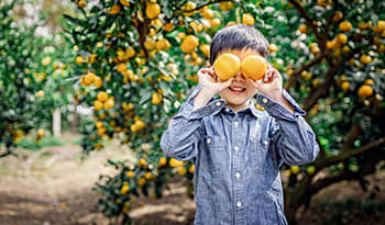 Asian boy playing in orange grove holding oranges