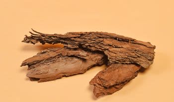 전문가가 알려주는 요힘베의 효능과 섭취 용량, 부작용