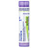 Boiron, Arnica Montana, 1 M, Approx 80 Pellets