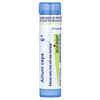 Boiron, Allium Cepa, 6C, allergieverlichting, ca. 80 pellets