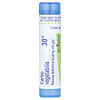 Boiron, 채소 탄수화물, 30C, 복부 팽만 및 가스 완화, 펠릿 약 80개