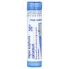 Boiron, Heparsulphuriscalcareum, 30C, 마른 기침 완화 펠릿 80개