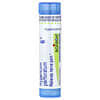 Boiron, Hypericum Perforatum, 6C, Melegakan Sakit Saraf, Lebih kurang 80 Pelet