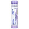Ledum Palustre, 200CK, Alivio para las picaduras de insectos, 80 gránulos aprox.