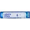Lobelia Inflata, 6C, Approx 80 Pellets