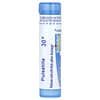 Boiron, Pulsatilla, 30C, 감기 증상 완화, 펠릿 약 80개