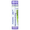 Boiron, Pulsatilla, 200CK, Cold Relief, Approx 80 Pellets