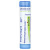 Boiron, 포도나무, 30C, 가려움 완화, 펠릿 약 80개