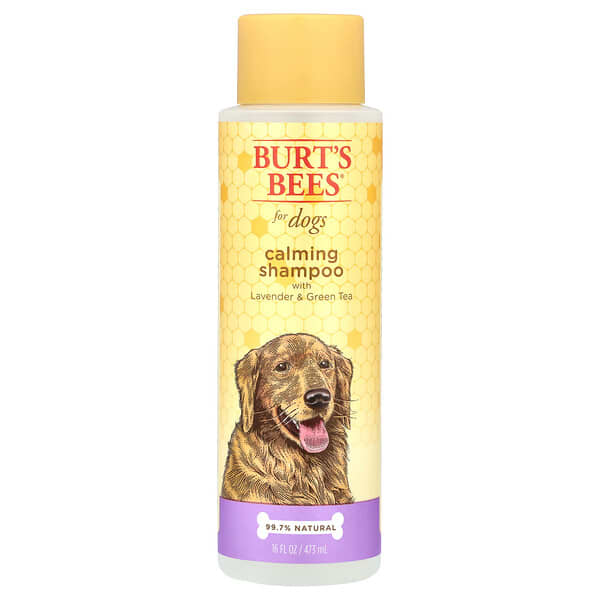 Burt's Bees, Calming Shampoo For Dogs with Lavender & Green Tea, 16 fl oz (473 ml)