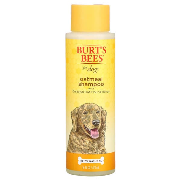Burt's Bees, Shampoo de Aveia para Cães com Farinha de Aveia Coloidal e Mel, 473 ml (16 fl oz)