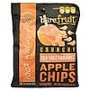 Crunchy Sea Salt Caramel Apple Chips, 12 Pack, 0.53 oz (15 g) Each
