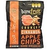 Crunchy Cinnamon Apple Chips, 12 Pack, 0.53 oz (15 g) Each