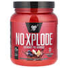 BSN, N.O.-XPLODE®, Legendary Pre-Workout, Fruit Punch, 1.22 lbs (555 g)