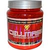 Cellmass 2.0, Concentrated Post Workout Recovery, Grape, 1.06 lbs (485 g)
