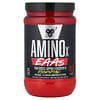 BSN, AminoX®, EAA, 딸기용과 맛, 375g(13.2oz)
