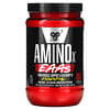 AminoX，必需胺基酸，肌肉支援和修復，草莓火龍果味，13.2 盎司（375 克）