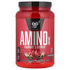 BSN, AminoX, Dayanıklılık ve İyileşme, Karpuz, 2,24 lb (1,02 kg)