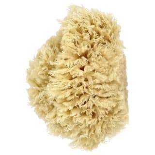 Baby Buddy, Premium Quality Wool Sea Sponge, 1 Sponge