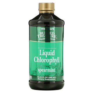 Buried Treasure, Liquid Chlorophyll, Spearmint, 16.23 fl oz (480 ml)