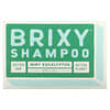 Shampoo Bar, Mint Eucalyptus, 1 Bar, 4 oz (113 g)